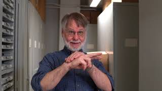 Ask A Scientist - Are Slugs Just Snails With Their Shells Taken Off?