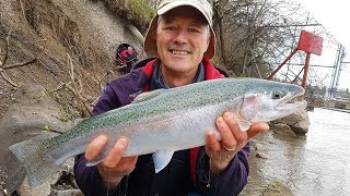 Bottom Bouncing for Steelhead (Chrome) - Boatless Angler