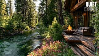 Forest Riverside Cabin | Relaxing Porch, Firepit, Nature Sounds and Birdsong for Relaxation