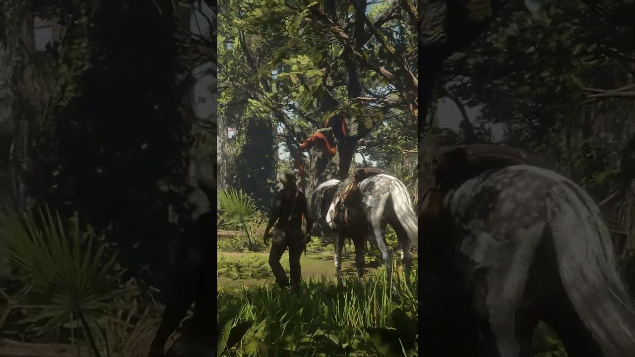 RDR 2 Secret 