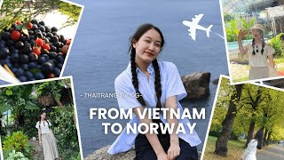 Famous A new chapter begins | From Vietnam to Norway ✈️ Wealth