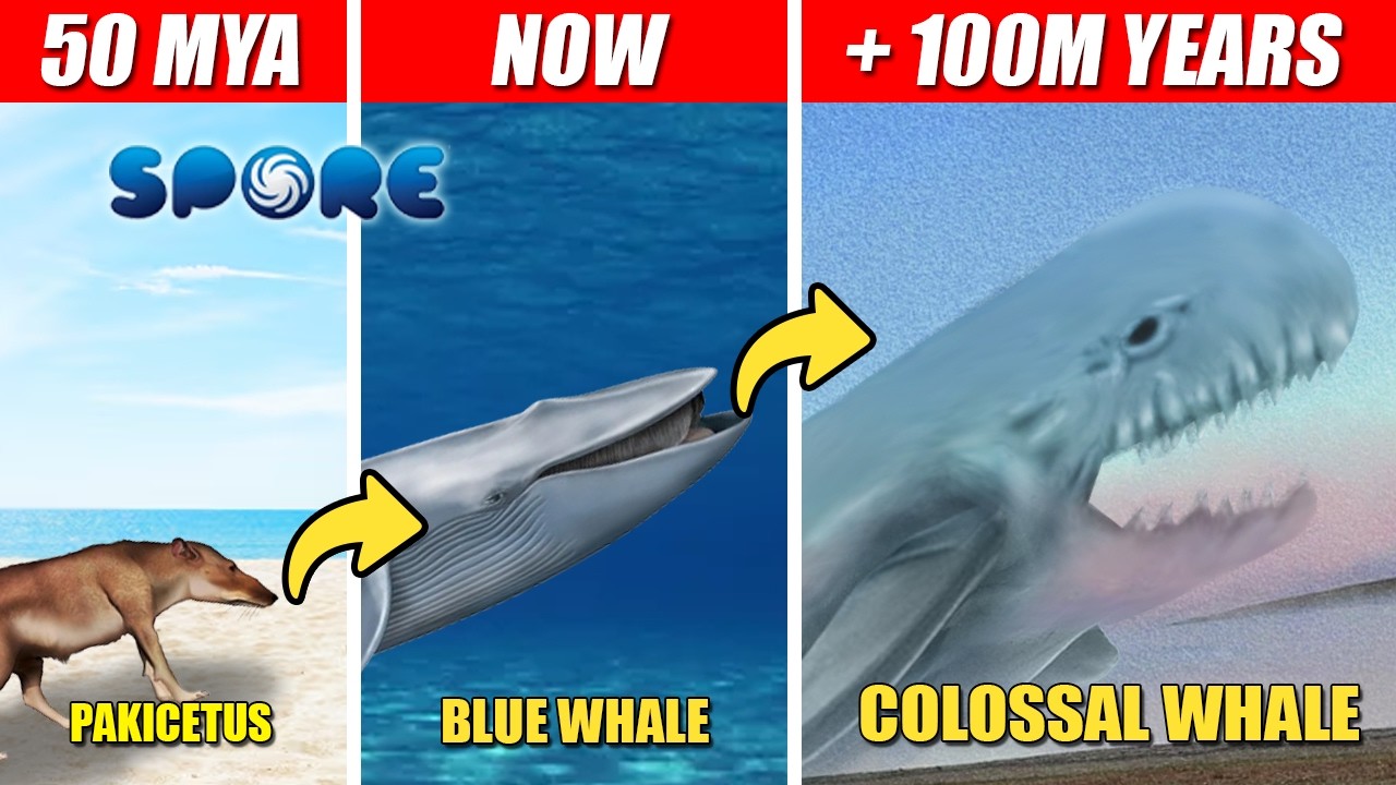 Colossal Orca 100 Million Years of the Colossal Whale, SPORE Evolutionary Journey ...