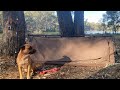 River camping for one week in the Australian bush! (Shrimping, Fishing, Campfire cooking)