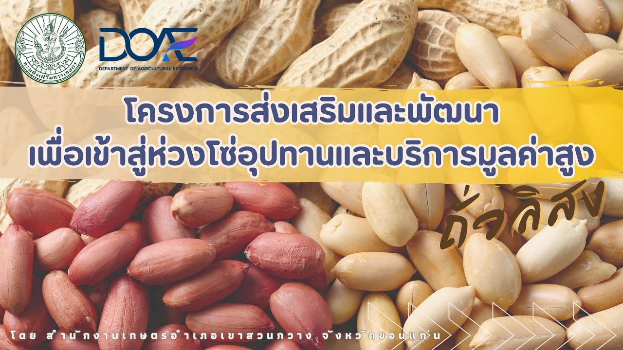 โครงการส่งเสริมและพัฒนาเพื่อเข้าสู่ห่วงโซ่อุปทานและบริการมูลค่าสูง (ถั่วลิสง) อ.เขาสวนกวาง