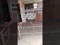 double decker bed