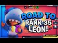 ROAD TO RANG 35 LEON! 🦈🔥