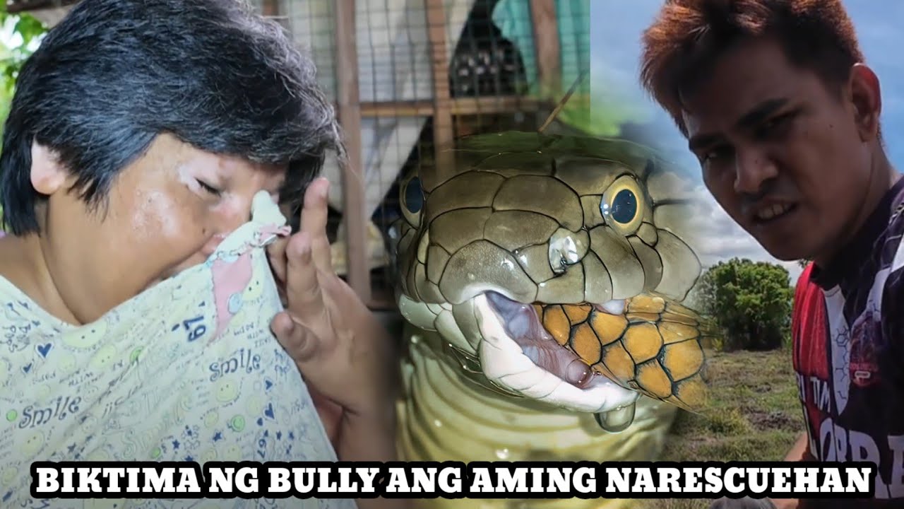 MGA COBRA SA KWARTO NAGSIPASUKAN