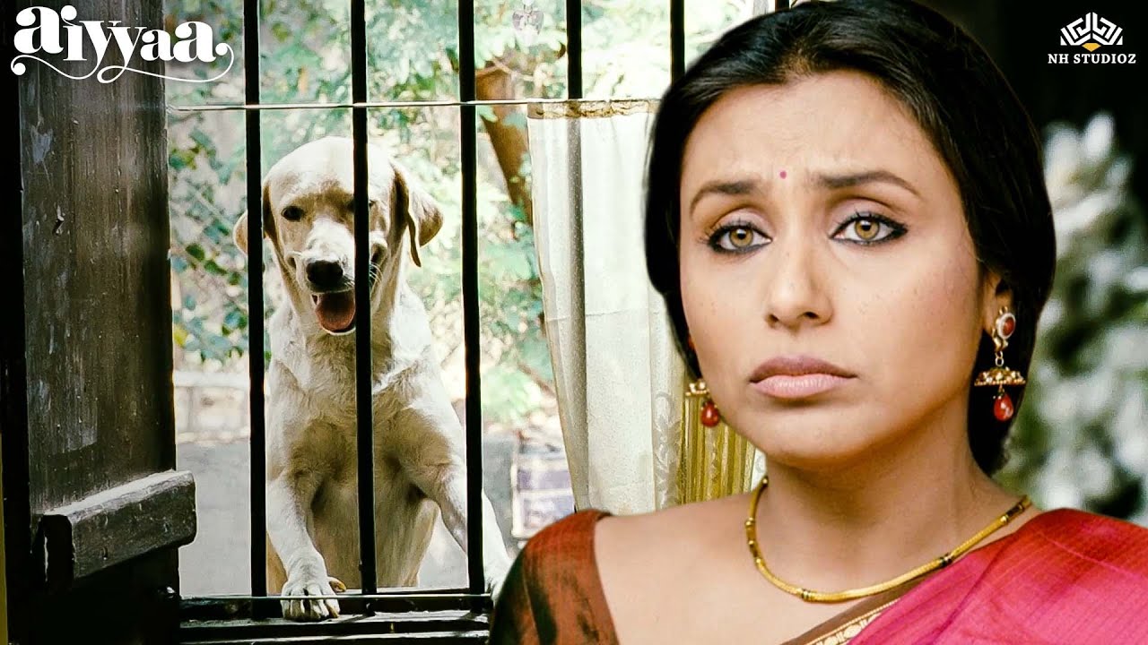 दिलबर, I am tried of everthing... तुम्हारा तो अच्छा है, बस खाने और भौंकने का काम है! | Aiyaa Scene