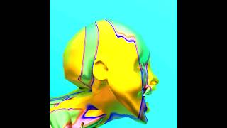 Colhead  color head fracture blender 3d animation