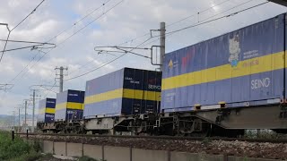 20231007 カンガルーライナー NF64 EF210-341 ECO POWER桃太郎 新鶴見機関区 5050【キ】