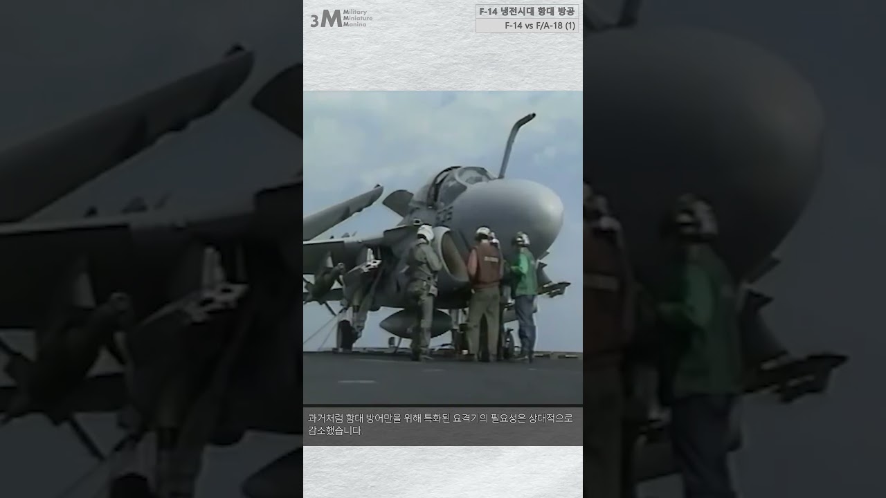 F-14 vs FA-18 (6): 요격기에서 폭격기로