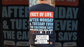 The Funniest Work Week Shirt I’ve Seen 😂 #workhumor #shorts #trendingnow #funnyvideo