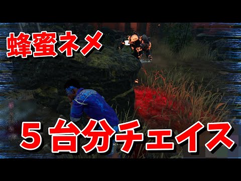【DBD】蜂蜜ネメシス君に５台分チェイス【デッドバイデイライト】