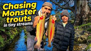 Chasing Monster Trout in Small Streams WA
