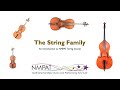 An introduction to the string family