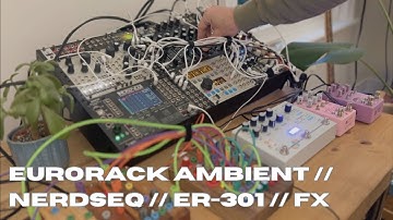 Ambient Jam // Nerdseq // ER-301 // various FX