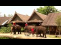 Prince kwamiso  elephants dance  bangkok