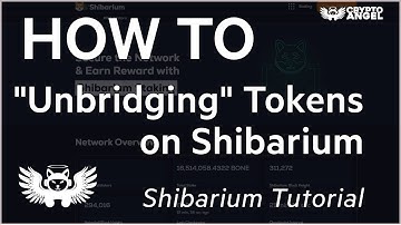 How to "Unbridge" Tokens from Shibarium - Tutorial