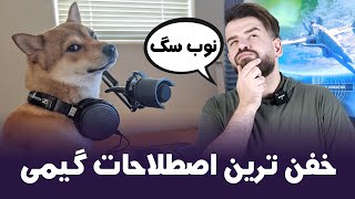 خفن ترین اصطلاحات گیمینگ | Best Gaming Words In Chats