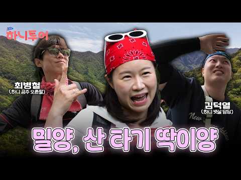 <strong>밀양</strong>, 산 타기 딱이양 | 스크롤 (KBS 2026.05.19.화 방송)