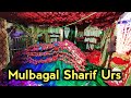 Mulbagal sharif dargah urs 2021  urs vlog  mulbagal sharif sandal  hazrat haidar e safdar dargah