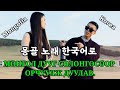 (🇰🇷Sub) МОНГОЛ ДУУГ СОЛОНГОСООР (몽골 노래 한국어로 번역해서 불렀는데) ZolbooTv Mongolian YouTuber