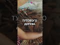 Топ факт о древнем  #interesting #interestingfacts #facts #funny #fun #science