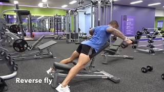 Incline dumbbell reverse fly