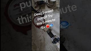 Quick Livewell Pump Fix on the #BoatMaintenance #EvergladesBoats #DIYBoating #LivewellPump