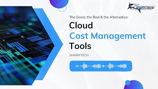 Cloud Cost Management Tools The Good, The Bad, and The Alternative