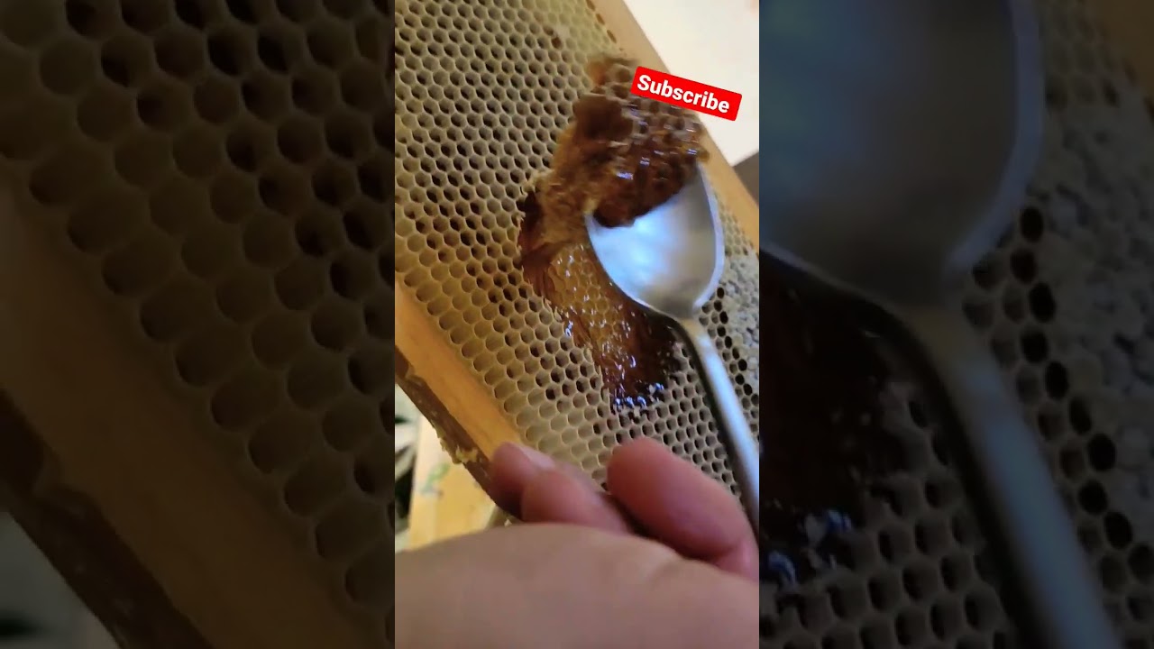 🍯 ASMR Carving Honey Comb Nectar 🍯 