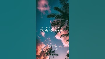 سورة الأحزاب💜 الآية 41~43 للقارئ ياسر الدوسري      #quran #المصحف #قران_كريم #قرآن