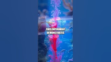 DIY Underwater Volcano Experiment