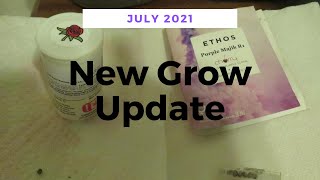 New Grow Update July 2021