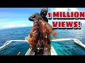 Great haul day spearfishing philippines 2021