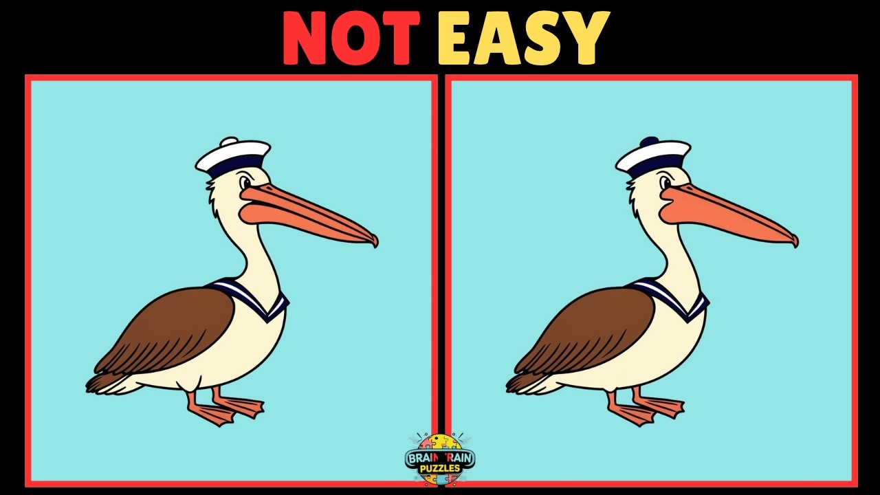 [Spot the Difference] Use Your 🧠💪 to Spot 3 Differences! - YouTube