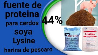 FUENTE PRINCIPAL DE PROTEINA 44 PARA CERDOS LISINA HARINA DE PESCADO SOYA
