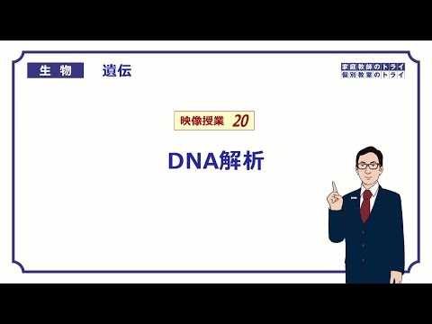 【高校生物】　遺伝20　DNA解析（１９分）