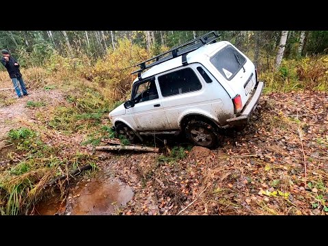 Третье путешествие на Щучье озеро. Дорожный квест! Драйв! Адреналин!