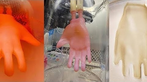 New Discovery Means We May Regrow Limbs 