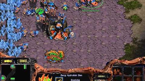 Starcraft Brood War Z vs P Map Python 1.3 3set