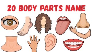 20 Body Parts Name π| Learn Body Parts in English for Toddlers #kideducation #bodyparts #learning