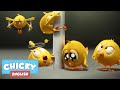 Where's Chicky? Funny Chicky 2020 | CHICKY AND HIS FRIENDS | Chicky Cartoon in English for Kids