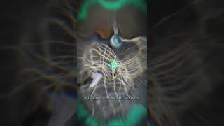 Khung Sư Tử Hải Phòng Cho Ae