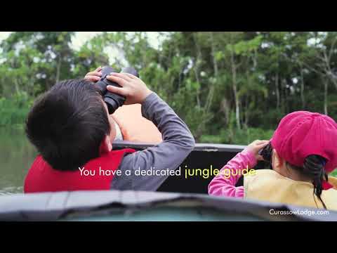 Curassow Amazon Lodge