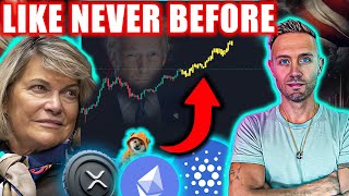 crypto hypercycle forming. altcoins prepare for "fomo velocity"