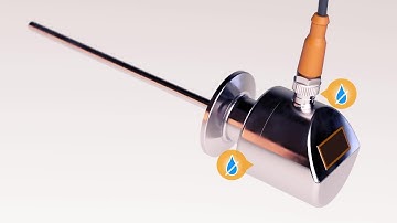 The alternative to the head transmitter: Temperature transmitter with display for the food industry