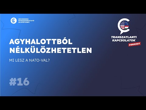 #16 Transzatlanti kapcsolatok / Agyhalottból nélkülözhetetlen – Mi lesz a NATO-val?