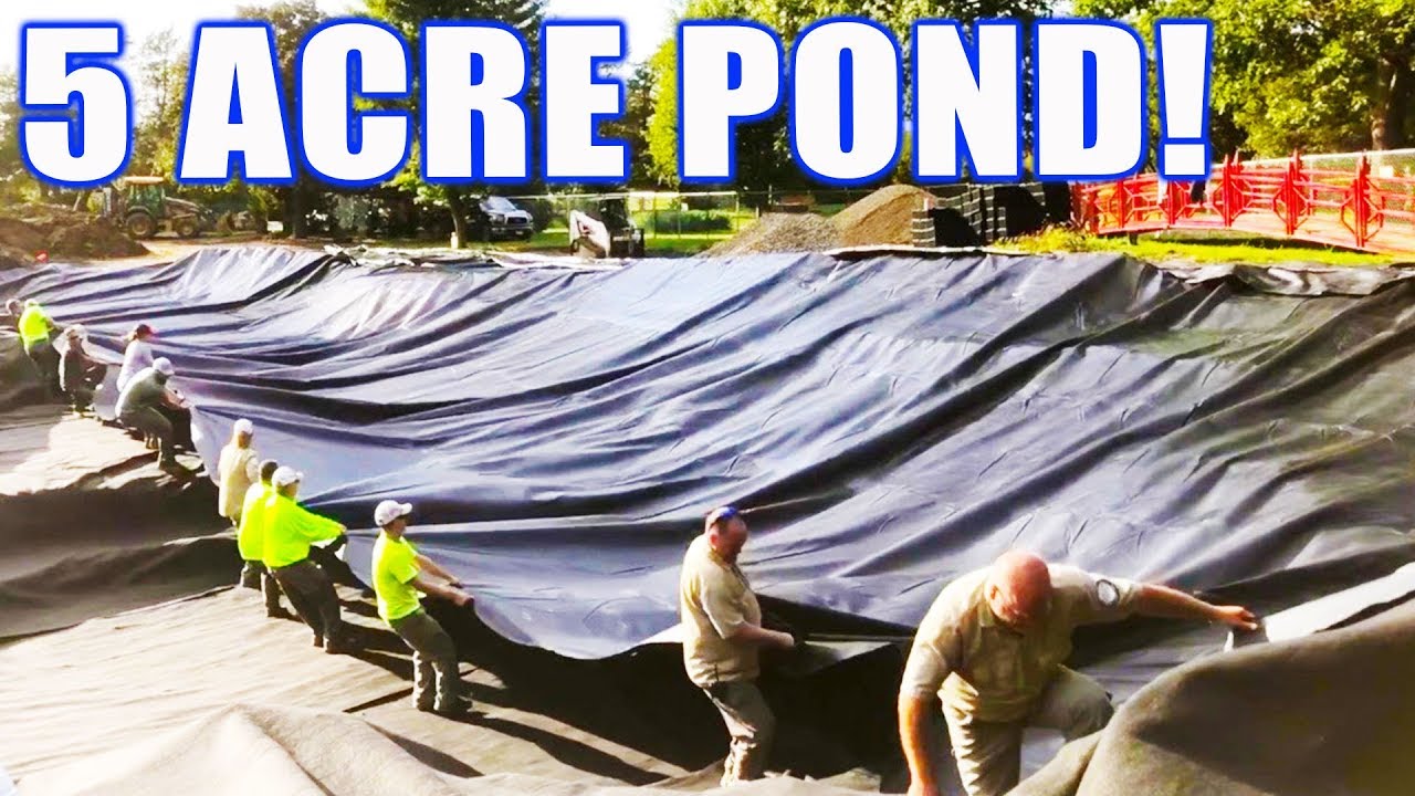 Massive POND RENOVATION: Part 2