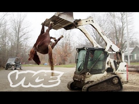 Video: Severní Karolína Exotické zvíře Ban * ALERT * Dům Bill 554
